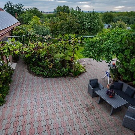 Ferienwohnung Provence Arad Exterior foto