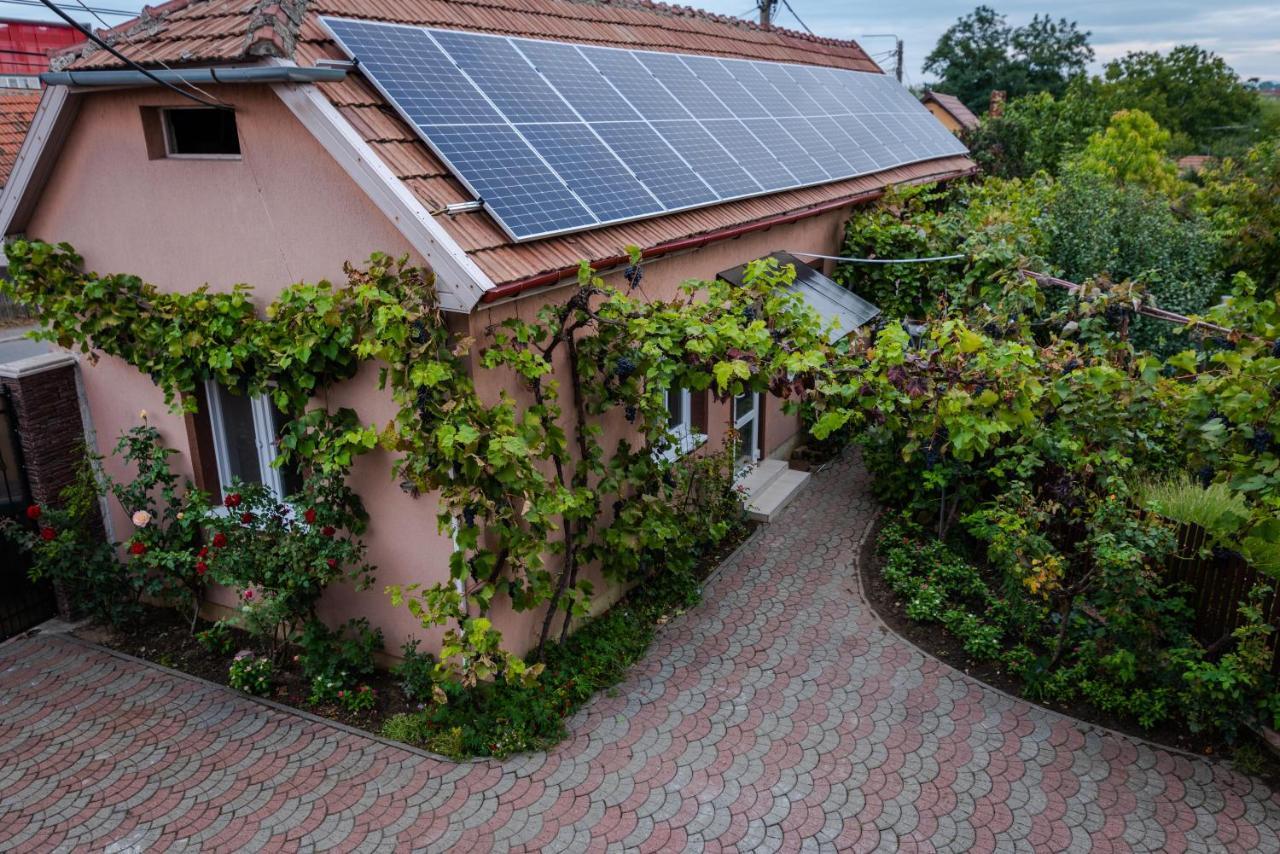 Ferienwohnung Provence Arad Exterior foto